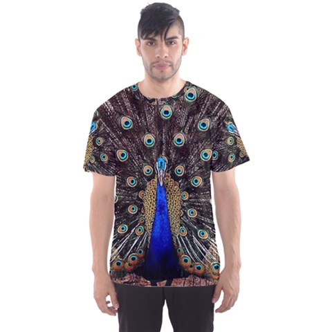 Peacock Men s Sports Mesh Tee by BangZart