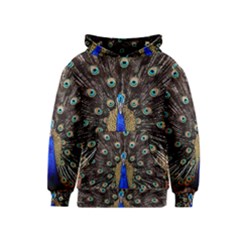 Peacock Kids  Pullover Hoodie