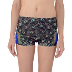 Peacock Reversible Boyleg Bikini Bottoms