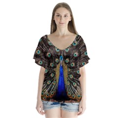 Peacock Flutter Sleeve Top