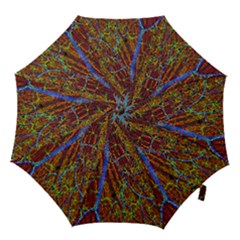 Neurobiology Hook Handle Umbrellas (small) by BangZart