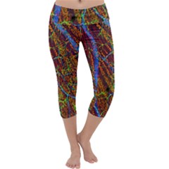 Neurobiology Capri Yoga Leggings