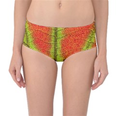 Nature Leaves Mid-waist Bikini Bottoms