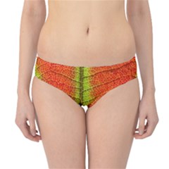 Nature Leaves Hipster Bikini Bottoms