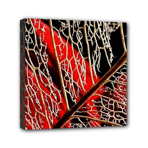 Leaf Pattern Mini Canvas 6  X 6  by BangZart