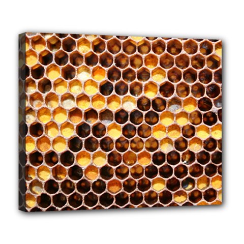 Honey Honeycomb Pattern Deluxe Canvas 24  X 20   by BangZart