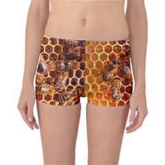 Honey Bees Reversible Boyleg Bikini Bottoms
