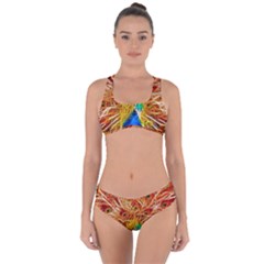 Fractal Peacock Art Criss Cross Bikini Set by BangZart