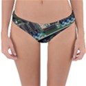 Computer Ram Tech Reversible Hipster Bikini Bottoms View3