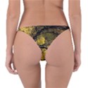 Colorful The Beautiful Of Traditional Art Indonesian Batik Pattern Reversible Bikini Bottom View2