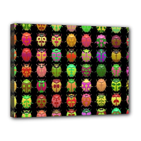 Beetles Insects Bugs Canvas 16  X 12 