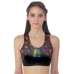 Beautiful Peacock Feather Sports Bra