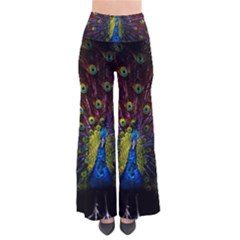 Beautiful Peacock Feather Pants