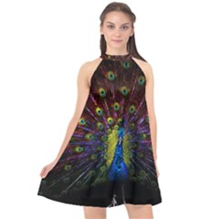 Beautiful Peacock Feather Halter Neckline Chiffon Dress 