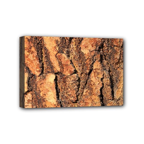 Bark Texture Wood Large Rough Red Wood Outside California Mini Canvas 6  X 4  by BangZart