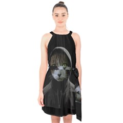 Gangsta Cat Halter Collar Waist Tie Chiffon Dress by Valentinaart