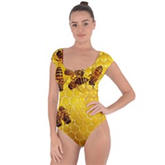 Honey Honeycomb Short Sleeve Leotard  by BangZart