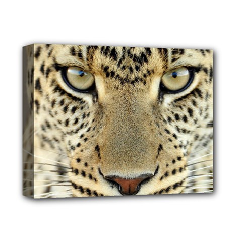 Leopard Face Deluxe Canvas 14  X 11  by BangZart