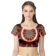 Circle Pattern Short Sleeve Crop Top (tight Fit)