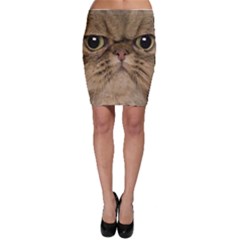 Cute Persian Catface In Closeup Bodycon Skirt