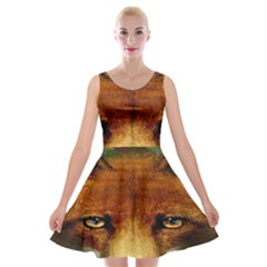 Fox Velvet Skater Dress