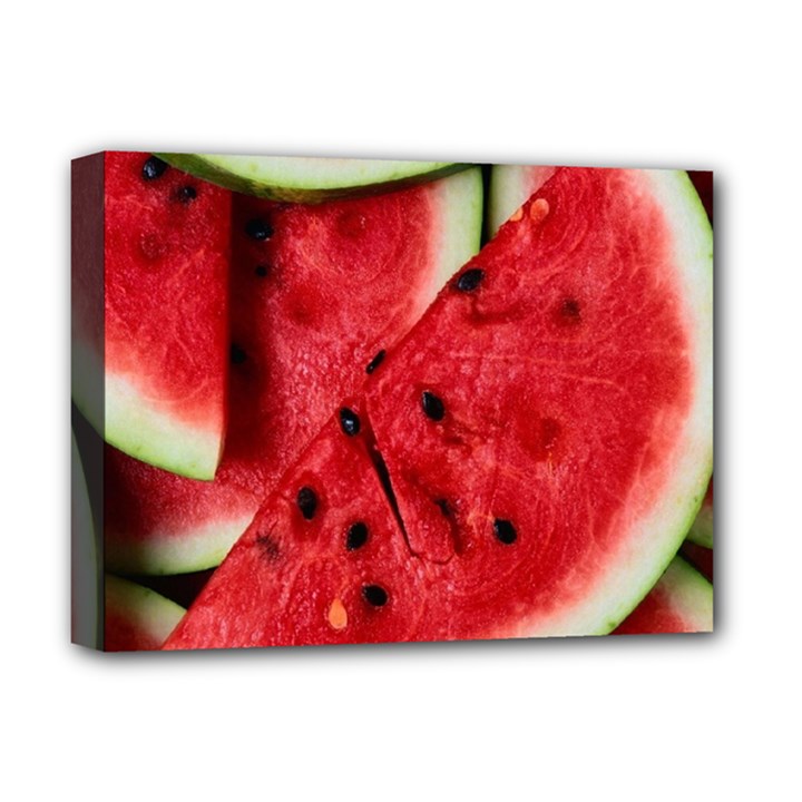 Fresh Watermelon Slices Texture Deluxe Canvas 16  x 12  