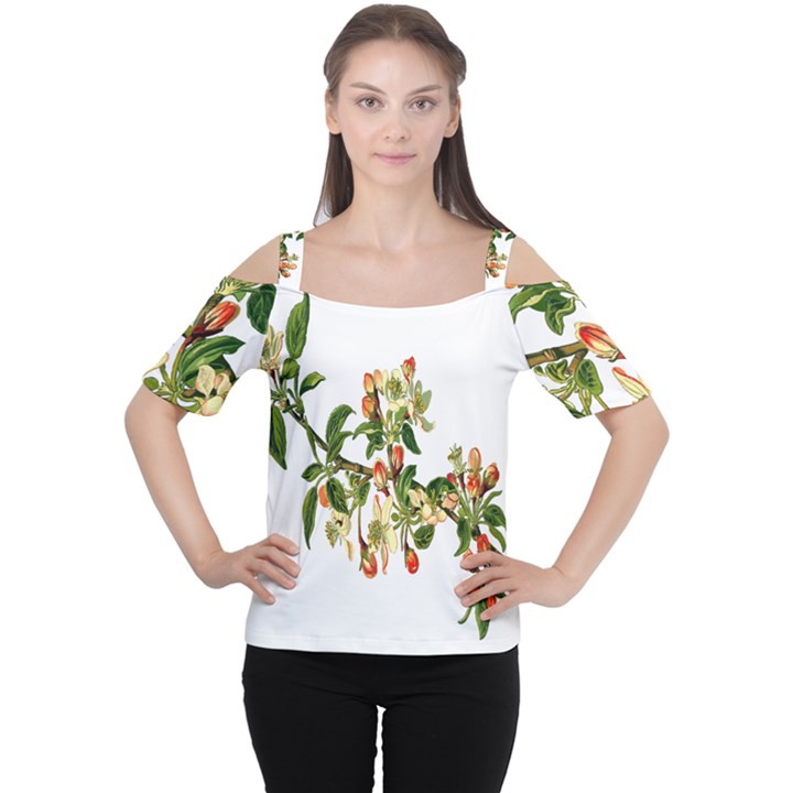 Apple Branch Deciduous Fruit Cutout Shoulder Tee