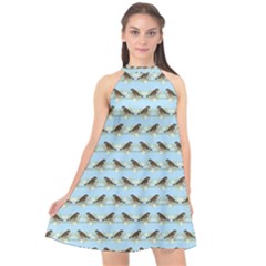 Sparrows Halter Neckline Chiffon Dress  by SuperPatterns