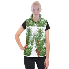 Branch Floral Green Nature Pine Women s Button Up Puffer Vest by Nexatart