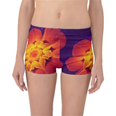 Royal Blue, Red, And Yellow Fractal Gerbera Daisy Boyleg Bikini Bottoms by jayaprime