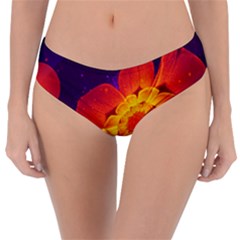 Royal Blue, Red, And Yellow Fractal Gerbera Daisy Reversible Classic Bikini Bottoms by jayaprime