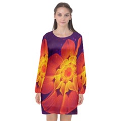 Royal Blue, Red, And Yellow Fractal Gerbera Daisy Long Sleeve Chiffon Shift Dress  by jayaprime