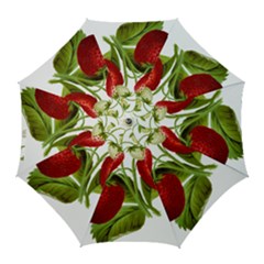 Food Fruit Leaf Leafy Leaves Golf Umbrellas by Nexatart