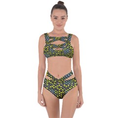 Lizard Animal Skin Bandaged Up Bikini Set 