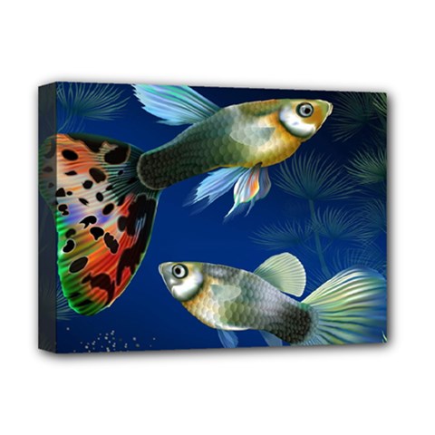 Marine Fishes Deluxe Canvas 16  X 12   by BangZart