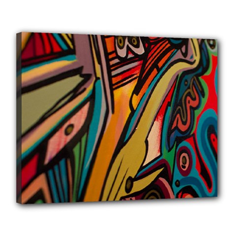 Vivid Colours Canvas 20  X 16  by BangZart