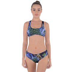 Chihuly Garden Bumble Criss Cross Bikini Set