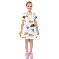Goldfish Kids  Short Sleeve Velvet Dress