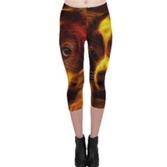 Cute 3d Dog Capri Leggings  by BangZart