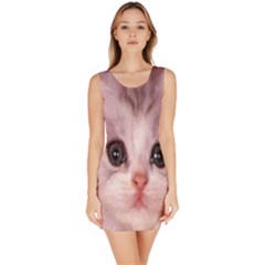 Cat  Animal  Kitten  Pet Bodycon Dress