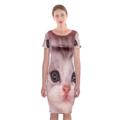 Cat  Animal  Kitten  Pet Classic Short Sleeve Midi Dress