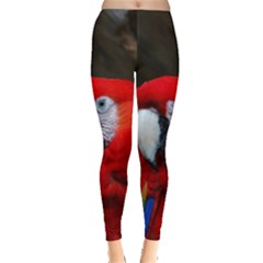 Scarlet Macaw Bird Leggings 