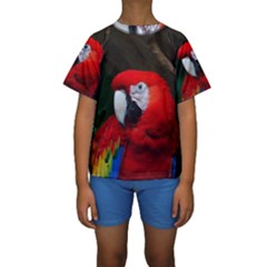 Scarlet Macaw Bird Kids  Short Sleeve Swimwear