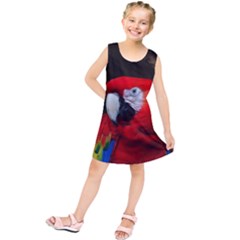 Scarlet Macaw Bird Kids  Tunic Dress