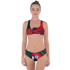 Scarlet Macaw Bird Criss Cross Bikini Set by BangZart