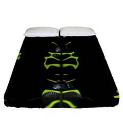 Beetles Insects Bugs Fitted Sheet (queen Size) by BangZart