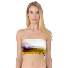 Landscape Bandeau Top