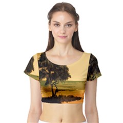 Landscape Short Sleeve Crop Top (tight Fit) by Valentinaart