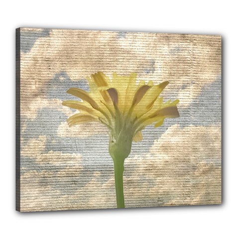 Shabby Chic Style Flower Over Blue Sky Photo  Canvas 24  X 20  by dflcprints
