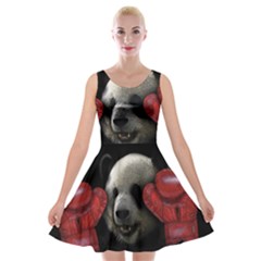 Boxing Panda  Velvet Skater Dress by Valentinaart